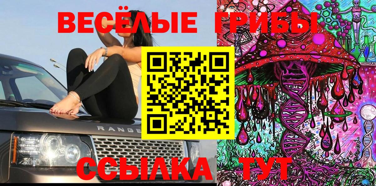 Галлюциногенные грибы мухоморы Шелехов